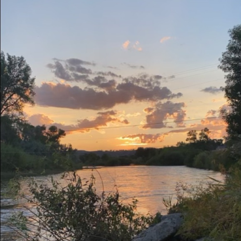 Meet your Posher, Maddie